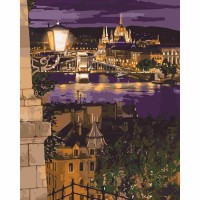 Картина за номерами 40*50см + фарби + пензель 3 шт. з рамкою Магічні фарби Будапешта