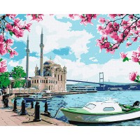 Картина за номерами 40*50см + фарби + пензель 2 шт з рамкою Яскравий Стамбул
