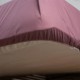 Простирадло НАТХНЕННЯ з резинкою 160х200 см попеляста троянда