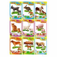 Комплект Домашние животные